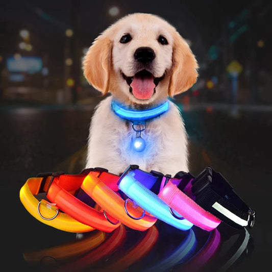 Collar Magic LED™